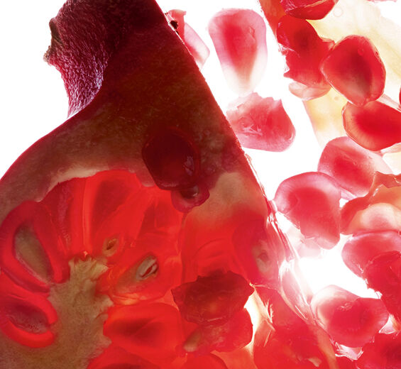 Pomegranate tree-Pomegranate extract (organic plant)-Punica granatum bark extract