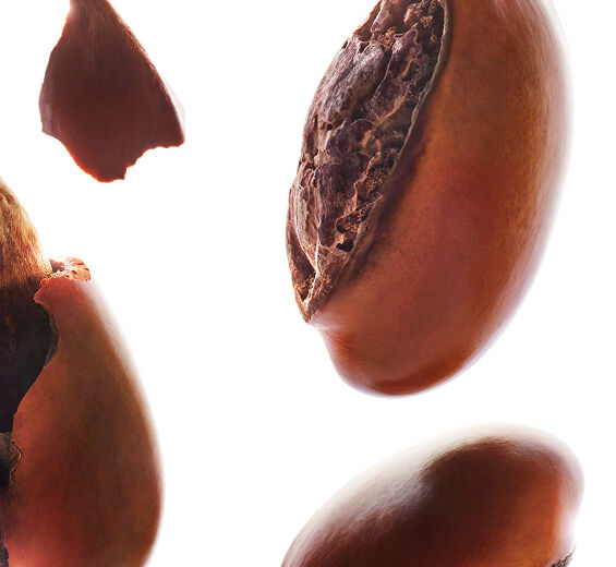 Shea tree-Shea oil-Butyrospermum parkii (shea) butter