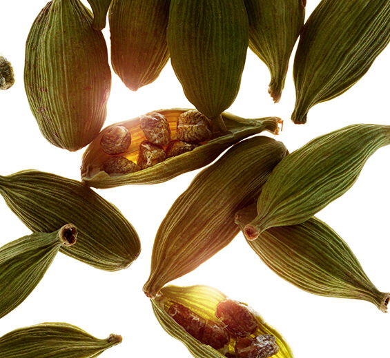 Cardamom-Cardamom essential oil-Elettaria cardamomum seed oil