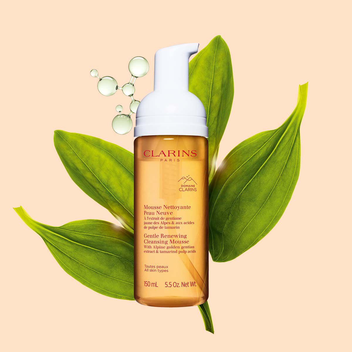 Gentle Renewing Cleansing Mousse | CLARINS®