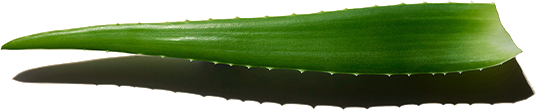 The Green Score to improve skincare formulation | CLARINS® IN