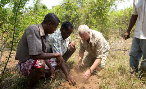 Christian Courtin-Clarins in the centella asiatica collection area in Madagascar