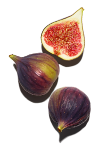 Fig extract