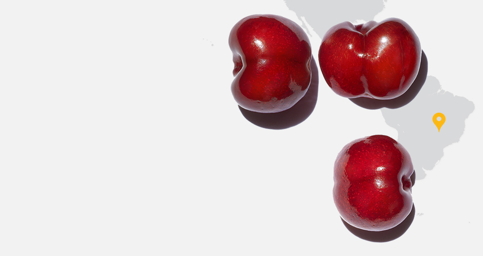 Acerola Fruit