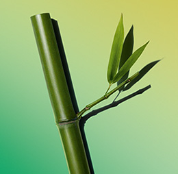 Active ingredient for Clarins skincare | CLARINS® IN