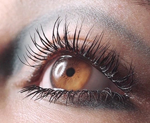 Lash length