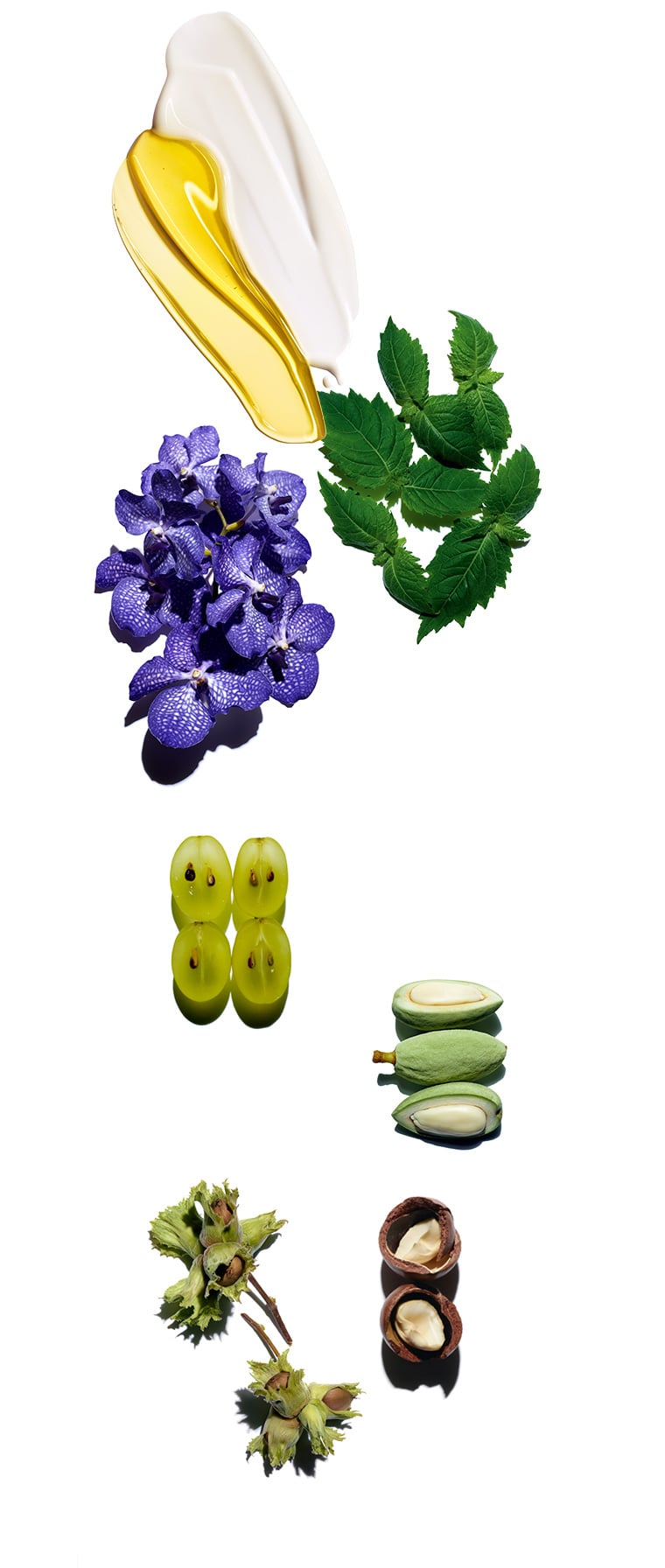 flushing plants Plant Flush