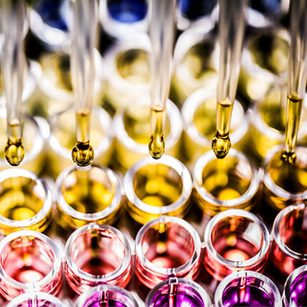 Clarins stops animal testing for animal protection | CLARINS® IN