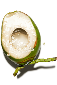 Organic coconut water