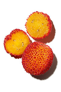 Organic arbutus extract