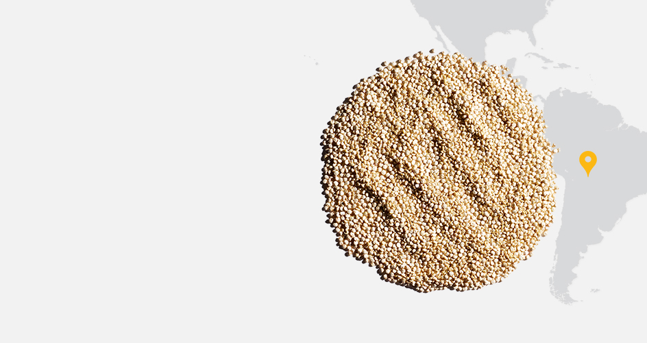 Quinoa