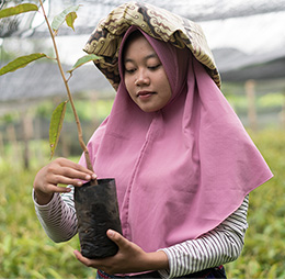 Seeds of Beauty to preserve biodiversity | CLARINS® IN