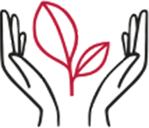 Clarins skincare product formulated with plant based formula | CLARINS® IN