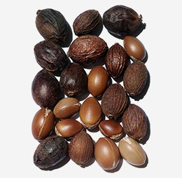 FAQ | CLARINS® IN