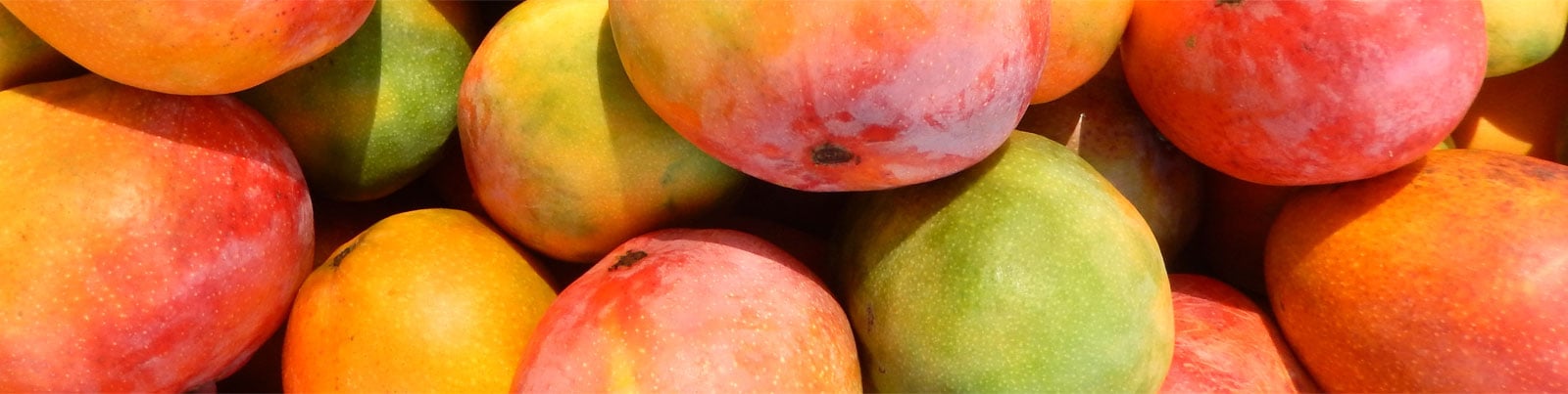 Continue the journey