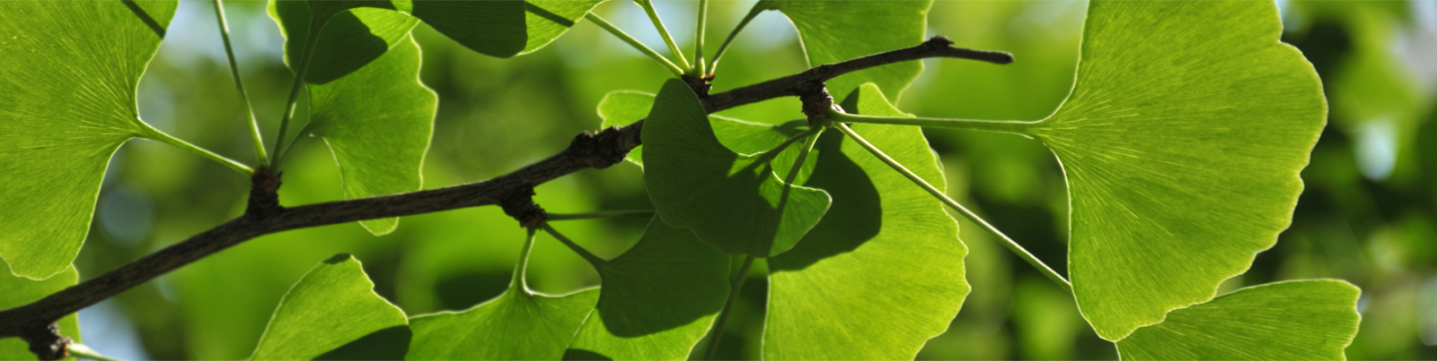 Continue the journey