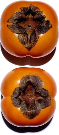 Persimmon