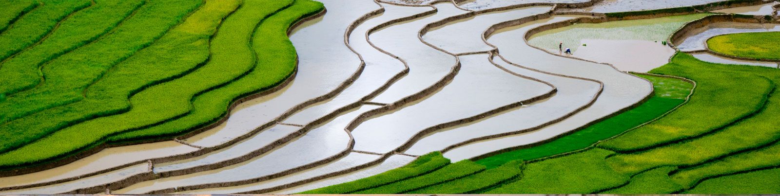 Continue the journey